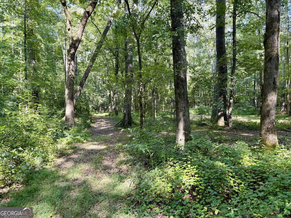 2552 EST. (TRACT 4) Highway 92 South Fayetteville, GA 30215