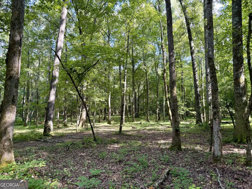 2552 EST. (TRACT 4) Highway 92 South Fayetteville, GA 30215