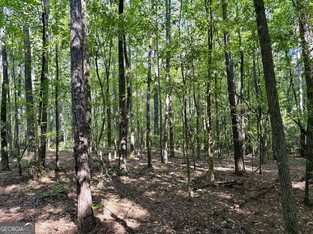 2552 EST. (TRACT 4) Highway 92 South Fayetteville, GA 30215