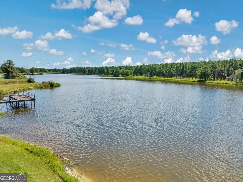 443 Lakeshore RD Pelham, GA 31779