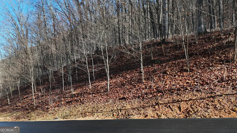 LOT 45 Mountainside DR Cleveland, GA 30528