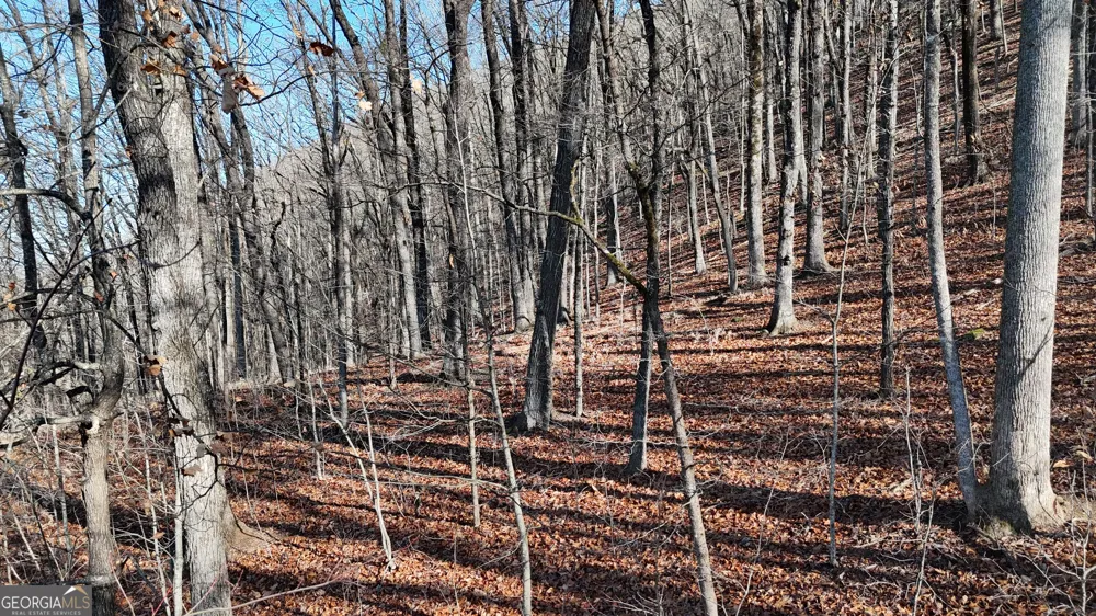 LOT 45 Mountainside DR Cleveland, GA 30528