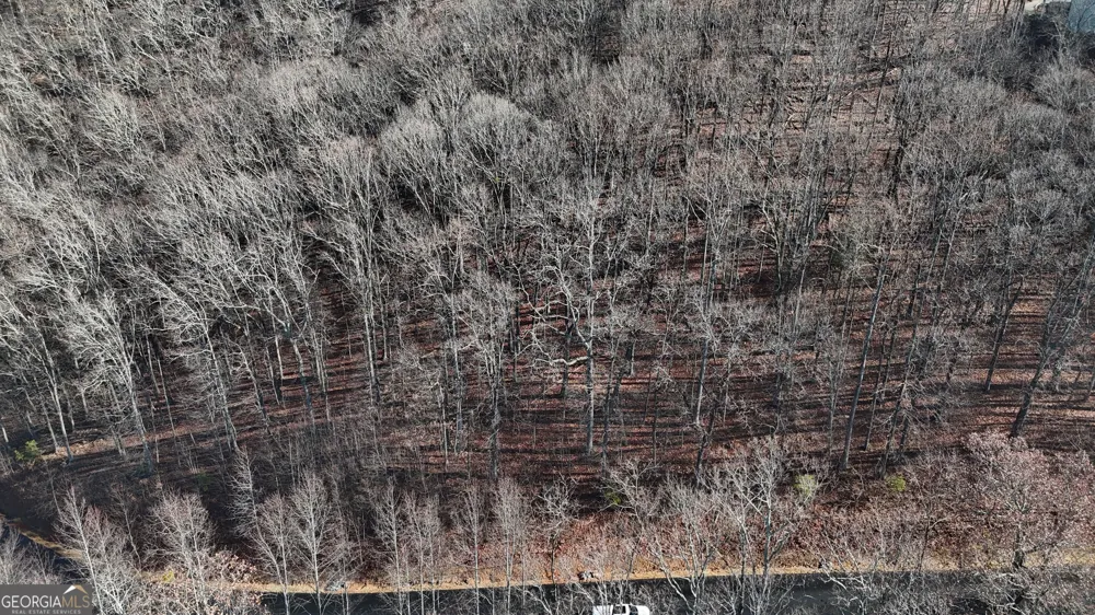 LOT 45 Mountainside DR Cleveland, GA 30528