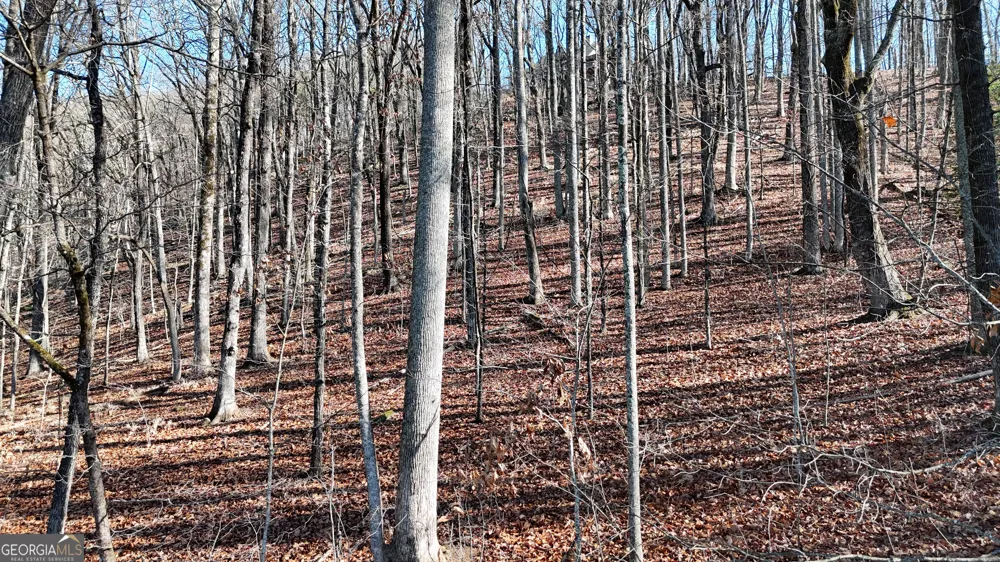 LOT 45 Mountainside DR Cleveland, GA 30528