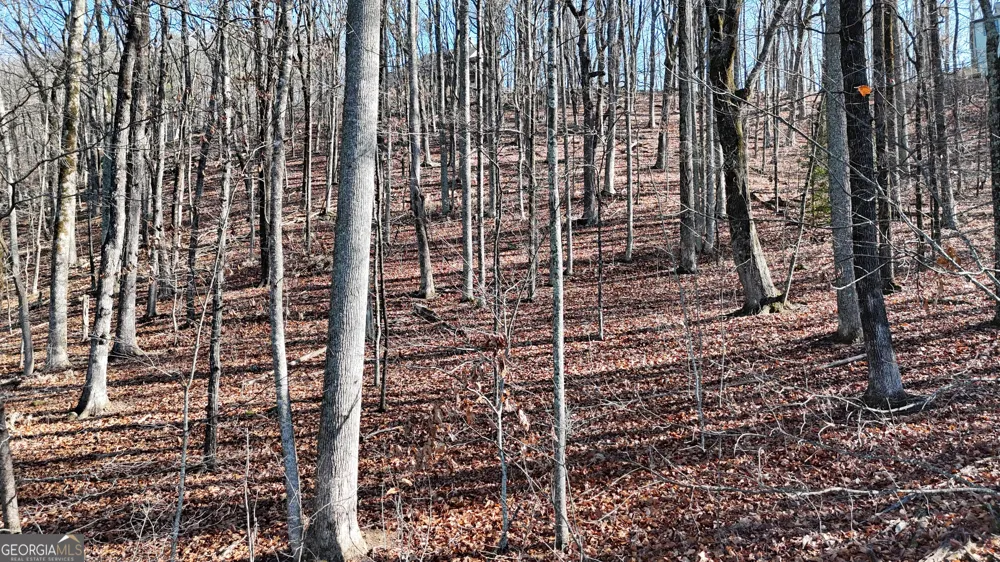 LOT 45 Mountainside DR Cleveland, GA 30528
