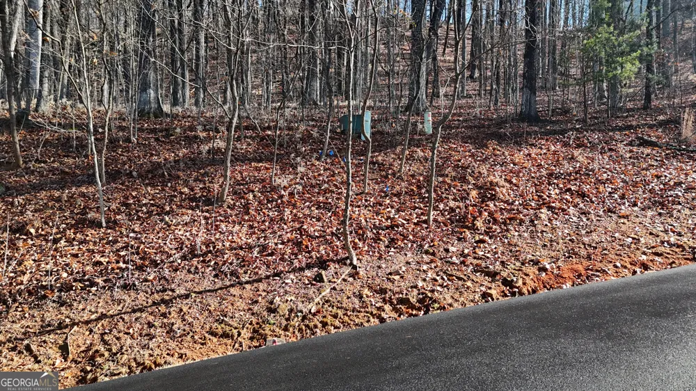 LOT 45 Mountainside DR Cleveland, GA 30528