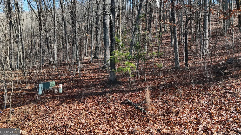 LOT 45 Mountainside DR Cleveland, GA 30528