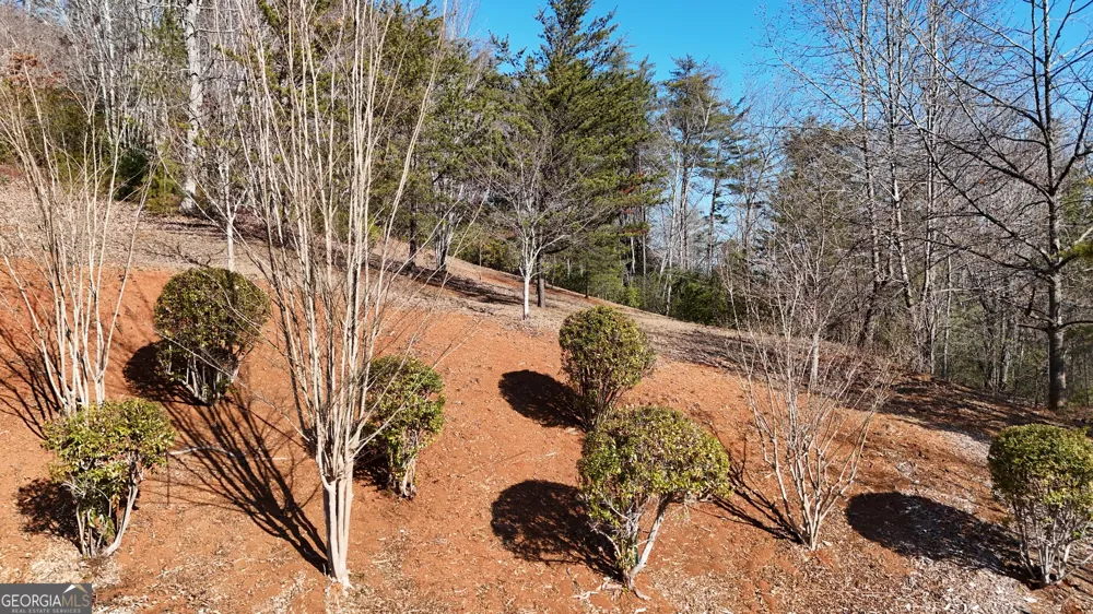 120 Ridgeland Sautee Nacoochee, GA 30571