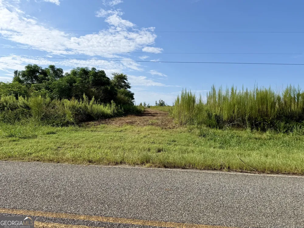 6186 Harvey RD Abbeville, GA 31001