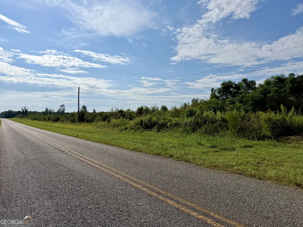 6186 Harvey RD Abbeville, GA 31001