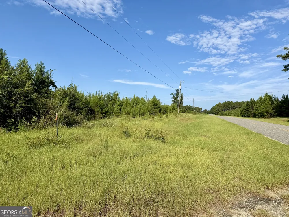 6186 Harvey RD Abbeville, GA 31001