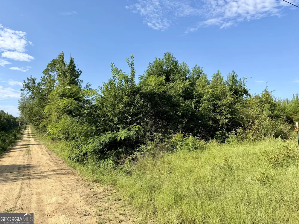 6186 Harvey RD Abbeville, GA 31001
