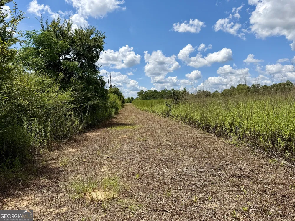 6186 Harvey RD Abbeville, GA 31001