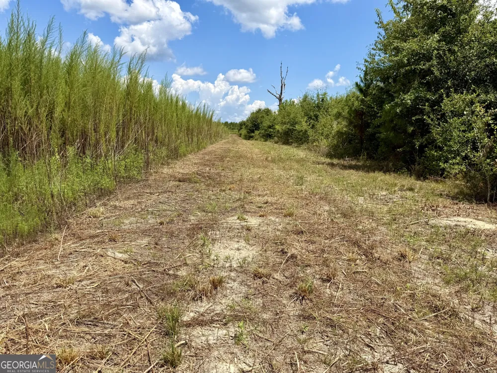 6186 Harvey RD Abbeville, GA 31001