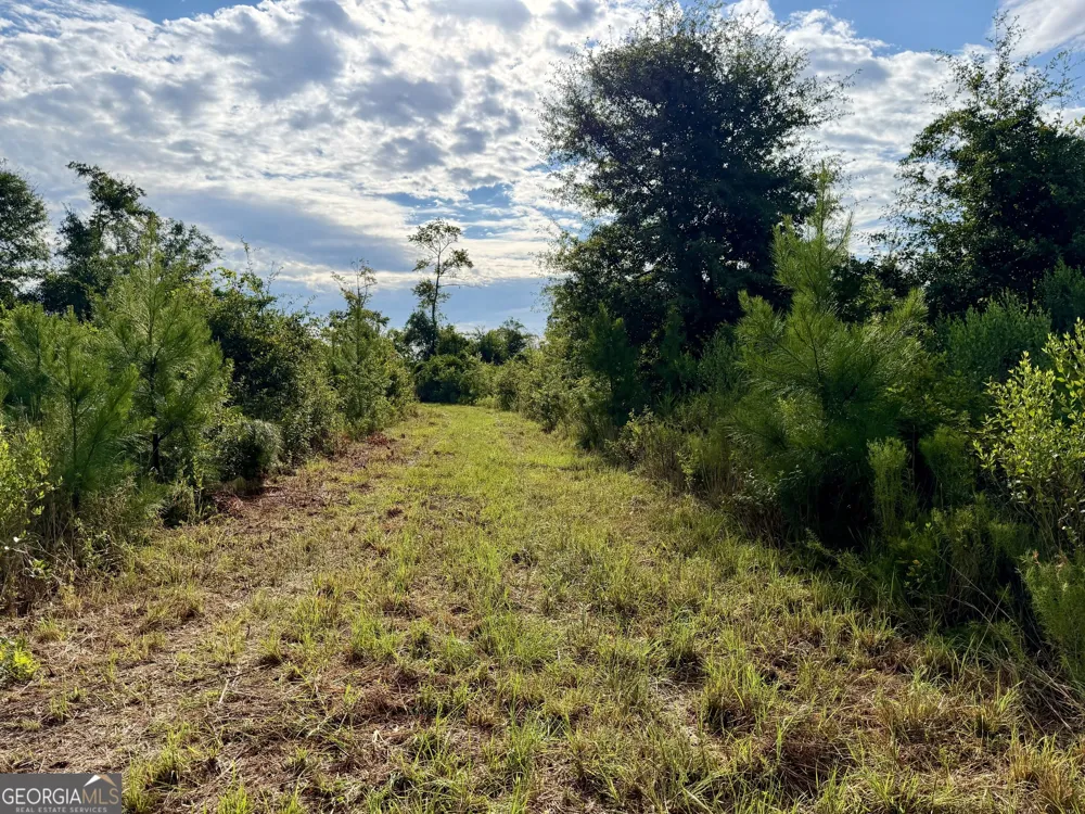 6186 Harvey RD Abbeville, GA 31001