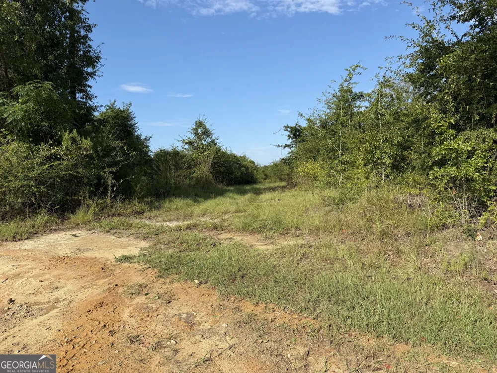 6186 Harvey RD Abbeville, GA 31001