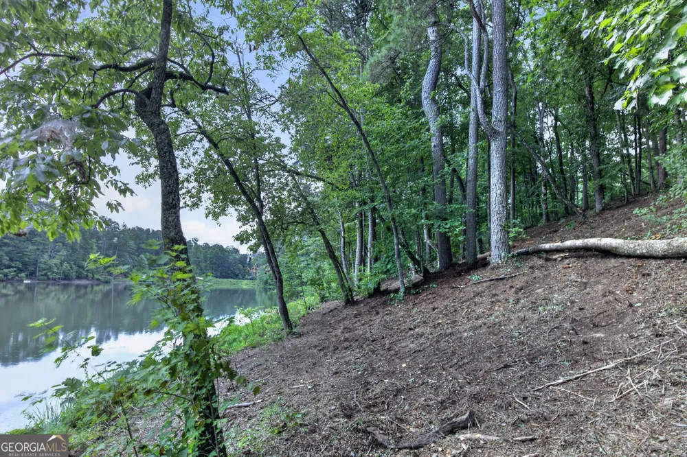 LT 188R Pinnacle DR Ellijay, GA 30540