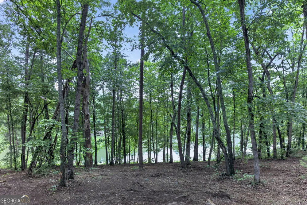 LT 188R Pinnacle DR Ellijay, GA 30540