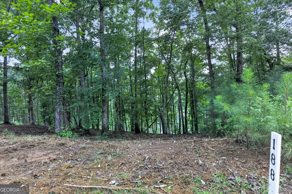 LT 188R Pinnacle DR Ellijay, GA 30540