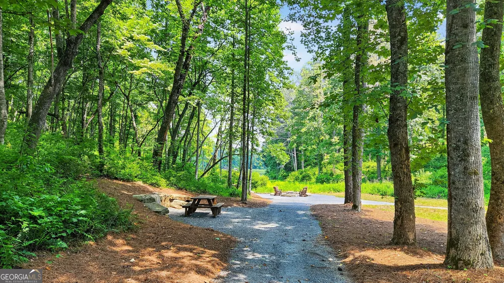 LT 188R Pinnacle DR Ellijay, GA 30540