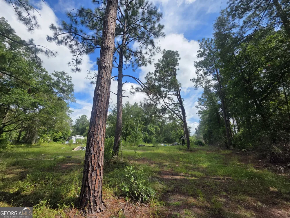 2301 Murphy RD Waynesville, GA 31566