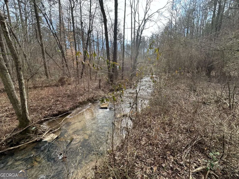 138 Rhondas WAY Ellijay, GA 30540