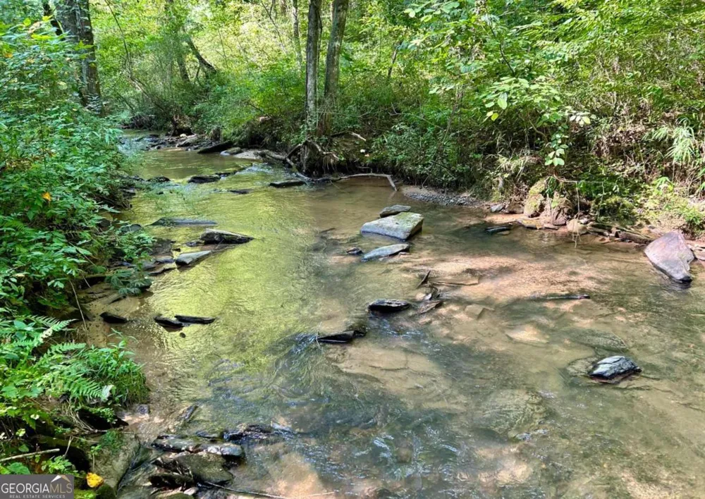 138 Rhondas WAY Ellijay, GA 30540