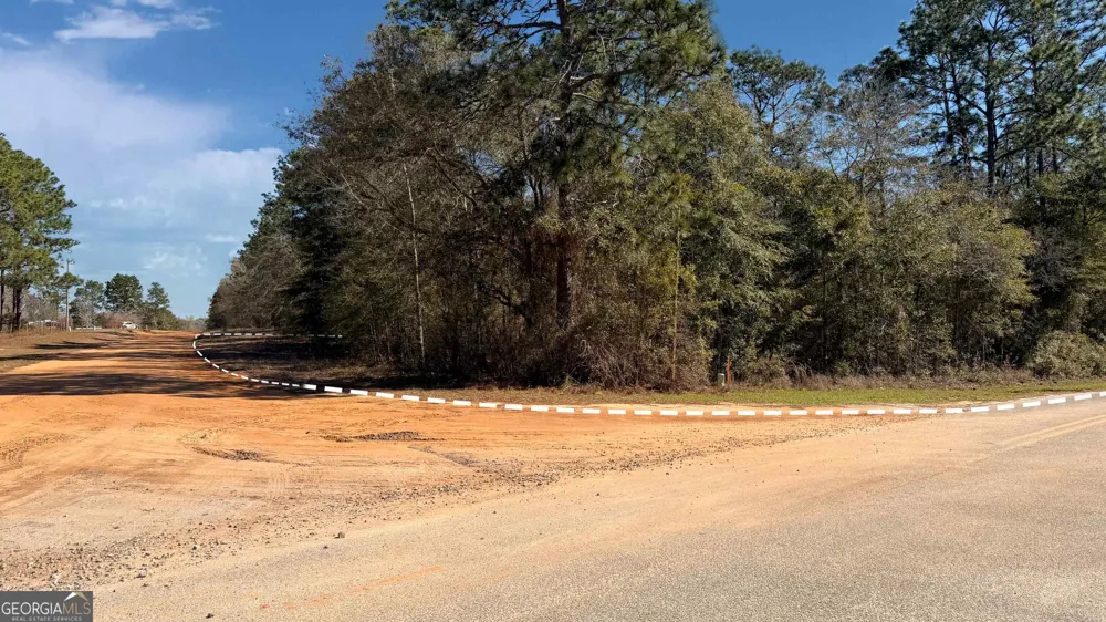 91 Lake Carroll DR Donalsonville, GA 39845
