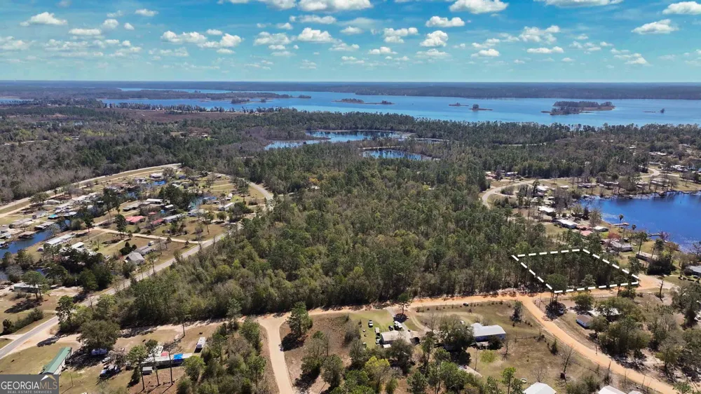 91 Lake Carroll DR Donalsonville, GA 39845