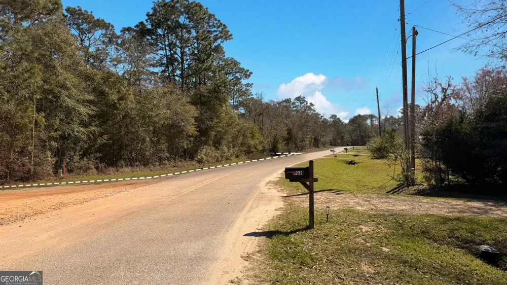 91 Lake Carroll DR Donalsonville, GA 39845