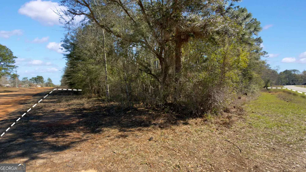 91 Lake Carroll DR Donalsonville, GA 39845