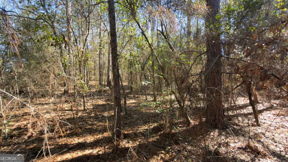 91 Lake Carroll DR Donalsonville, GA 39845