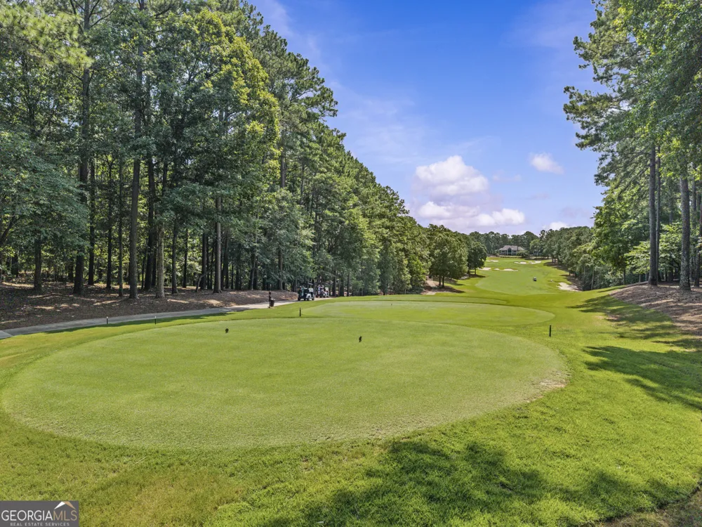 1000 Tappans PL Greensboro, GA 30642