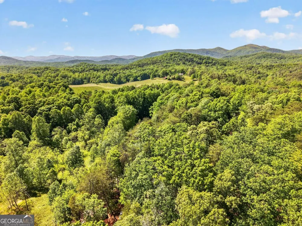 924 Fred Ash RD Dahlonega, GA 30533