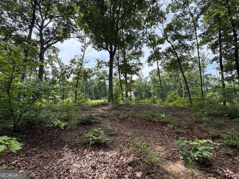 LOT 20 Lake Top LN Ellijay, GA 30540