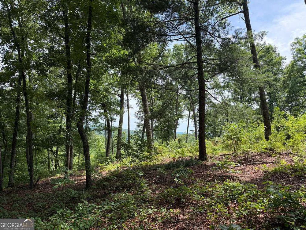 LOT 20 Lake Top LN Ellijay, GA 30540