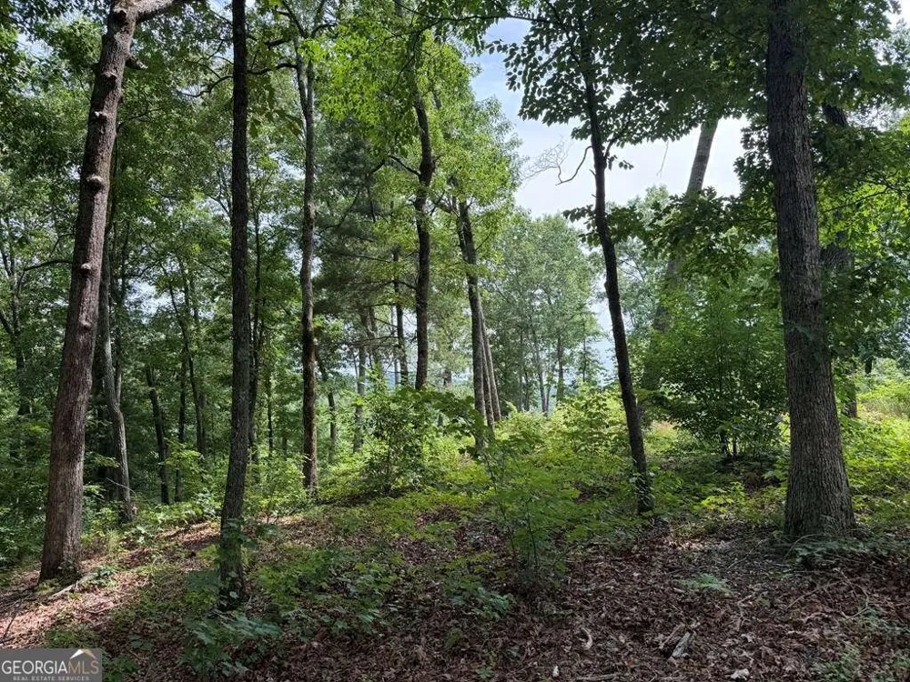 LOT 20 Lake Top LN Ellijay, GA 30540