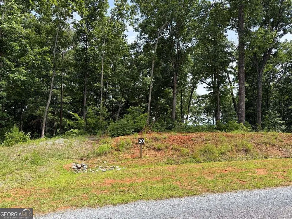 LOT 20 Lake Top LN Ellijay, GA 30540