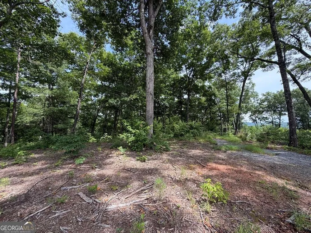 LOT 20 Lake Top LN Ellijay, GA 30540