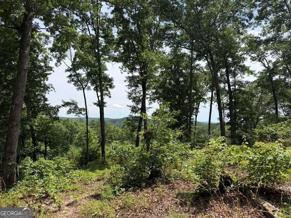 LOT 20 Lake Top LN Ellijay, GA 30540