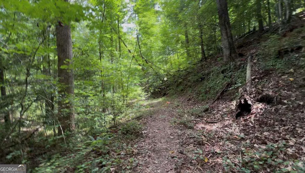 LOT 20 Lake Top LN Ellijay, GA 30540