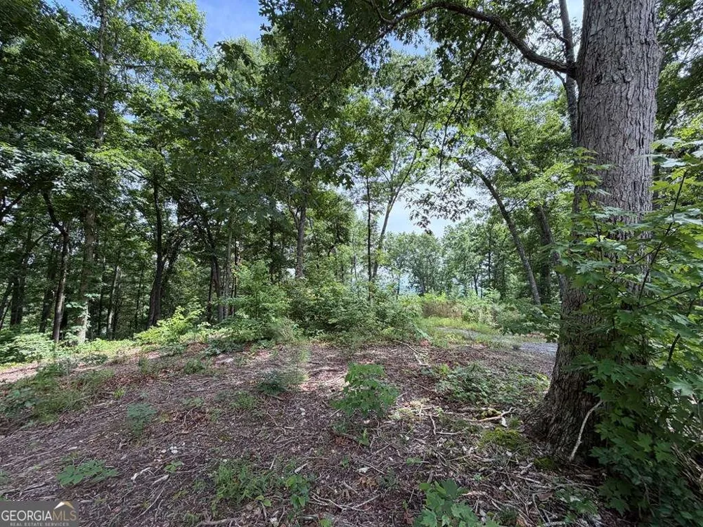 LOT 20 Lake Top LN Ellijay, GA 30540