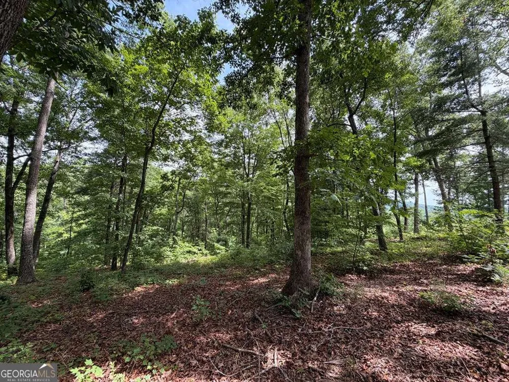 LOT 20 Lake Top LN Ellijay, GA 30540