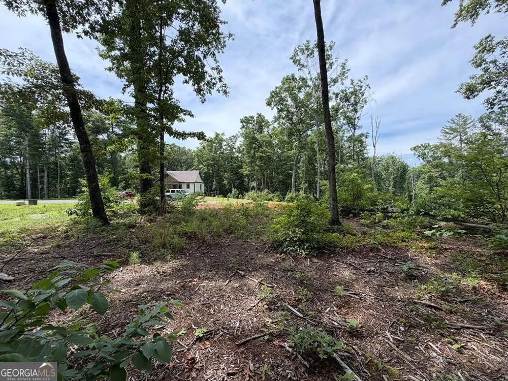 LOT 20 Lake Top LN Ellijay, GA 30540