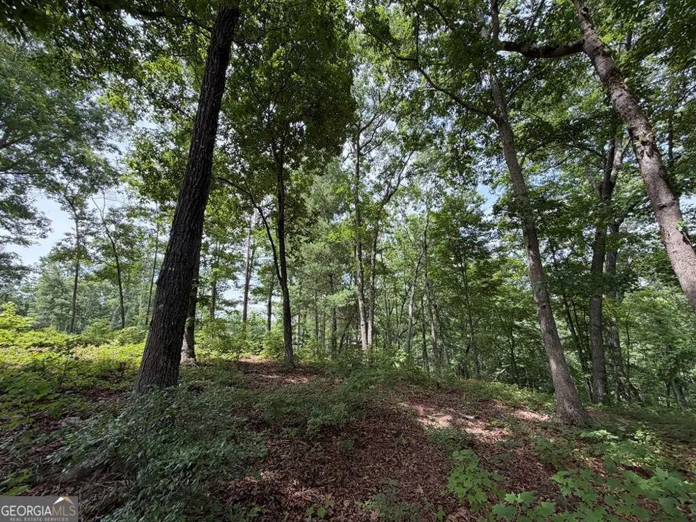 LOT 20 Lake Top LN Ellijay, GA 30540