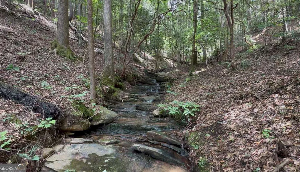 LOT 20 Lake Top LN Ellijay, GA 30540