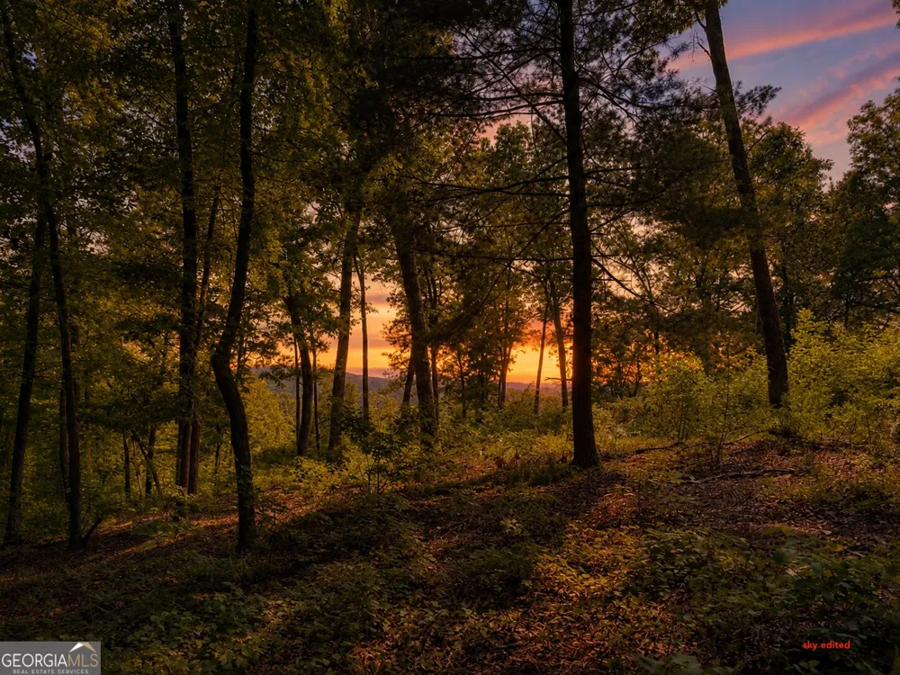LOT 20 Lake Top LN Ellijay, GA 30540