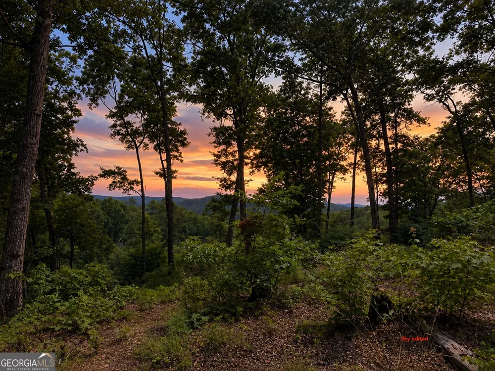 LOT 20 Lake Top LN Ellijay, GA 30540