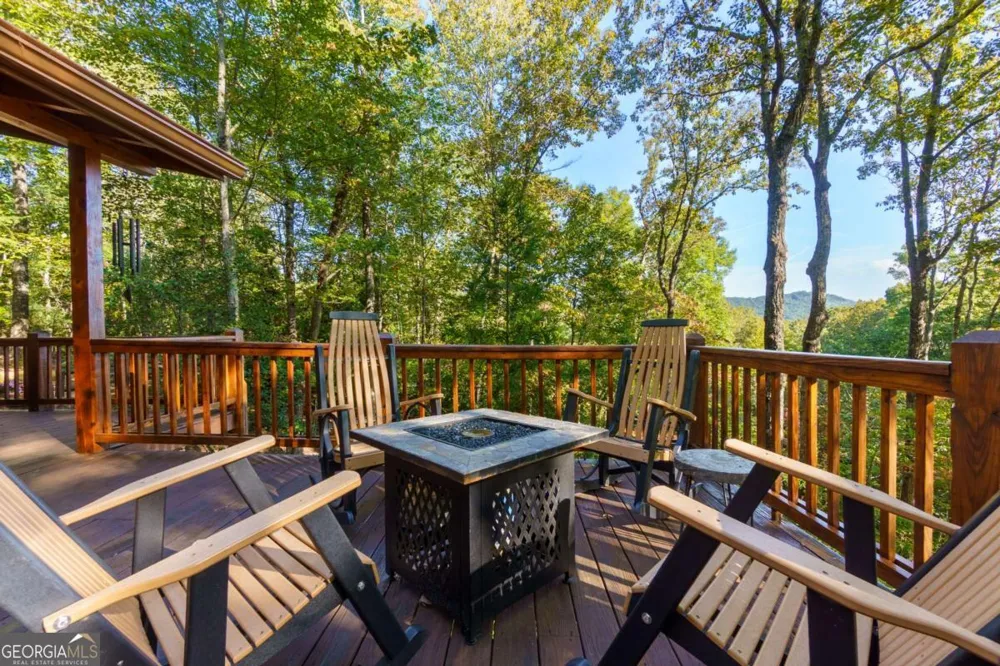 24 Casey CT Blue Ridge, GA 30513