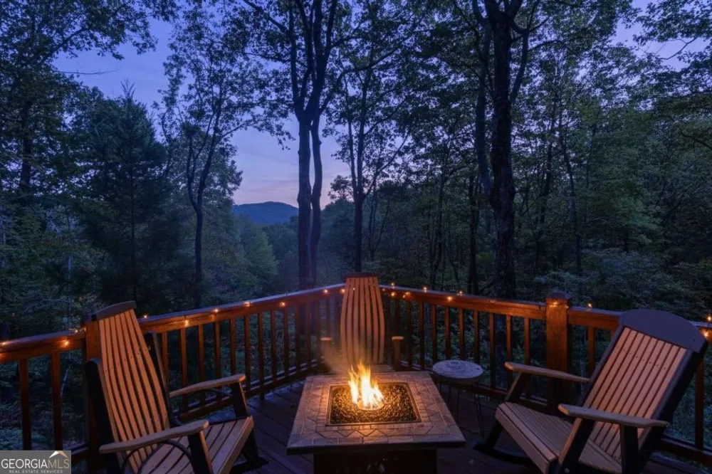 24 Casey CT Blue Ridge, GA 30513